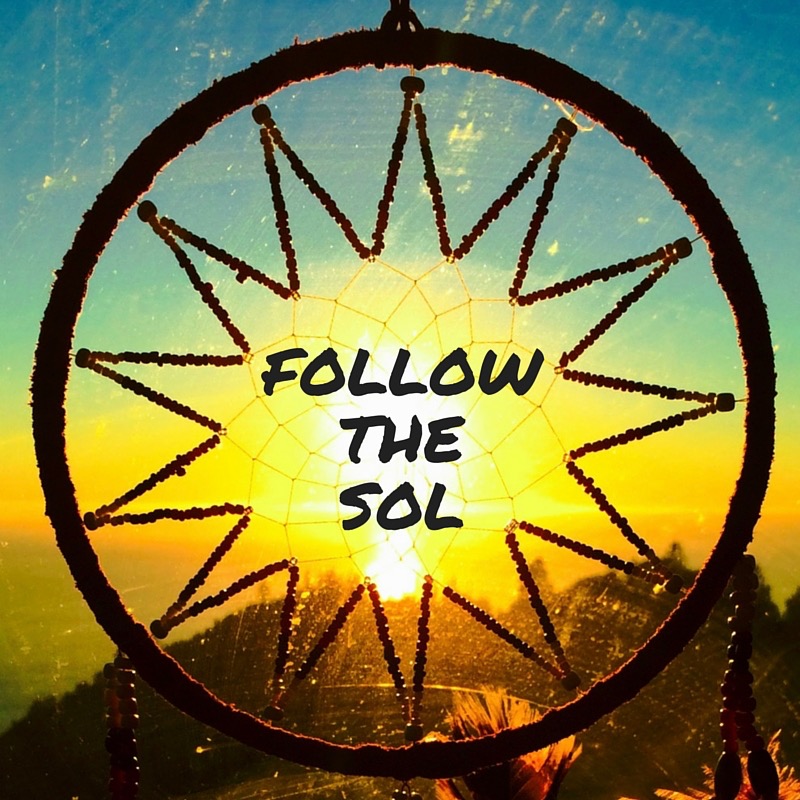 Follow The Sol Logo